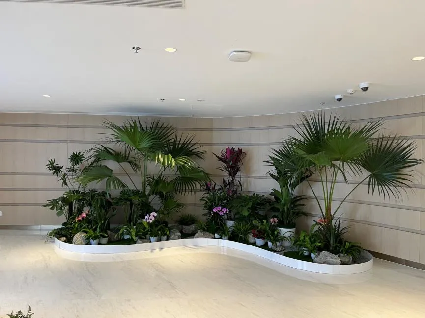 慈溪专业花木出租，给你一片绿色风情